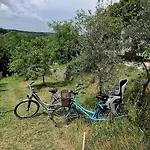 Campsite Viadowinagardens Bratislava