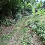 Campsite Viadowinagardens Bratislava