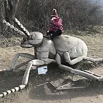 Campsite Viadowinagardens
