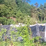 Campsite Viadowinagardens *
