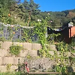 Viadowinagardens אתר קמפינג *