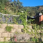 Viadowinagardens *