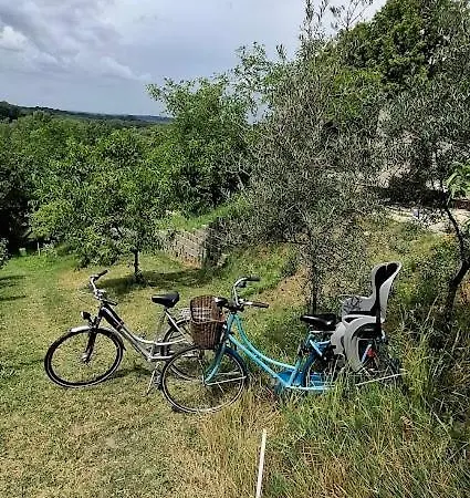 Кемпинг Viadowinagardens Братислава