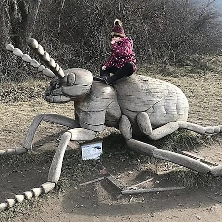 Кемпинг Viadowinagardens