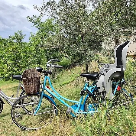Campingplatz Viadowinagardens *