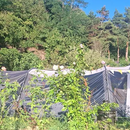 Tente de luxe Viadowinagardens *