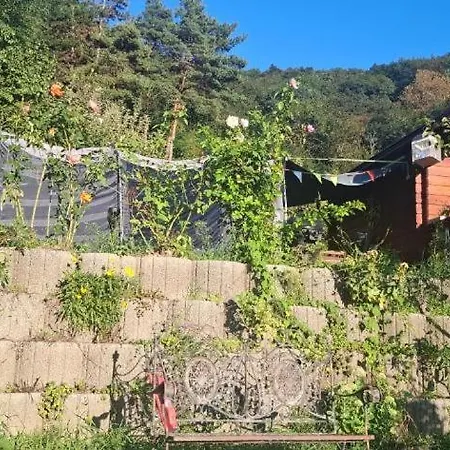 Viadowinagardens *
