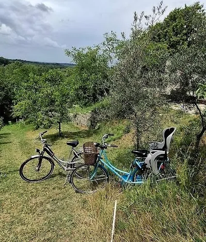 Campsite Viadowinagardens Bratislava
