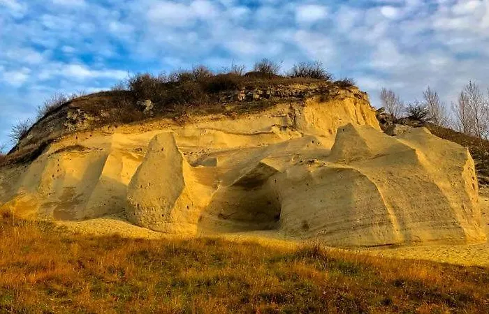 ラグジュアリーテント Viadowinagardens