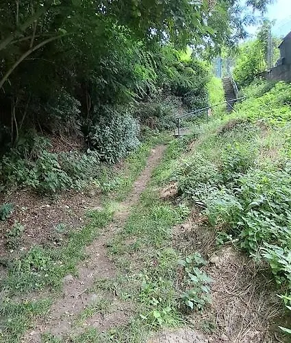 キャンプ場 Viadowinagardens ブラチスラヴァ