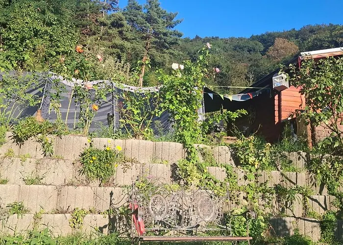 Viadowinagardens キャンプ場 *