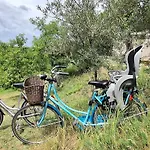 Κάμπινγκ Viadowinagardens *