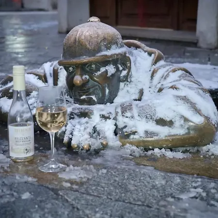 Кемпинг Viadowinagardens *