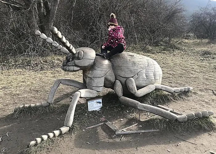 Кемпинг Viadowinagardens